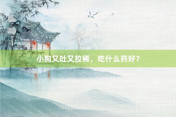 小狗又吐又拉稀，吃什么药好？